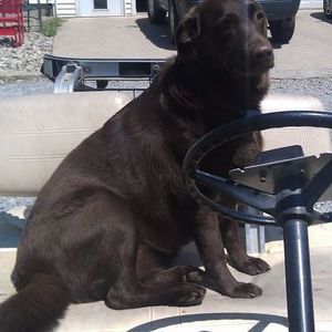 Meet your Posher, Bonnie